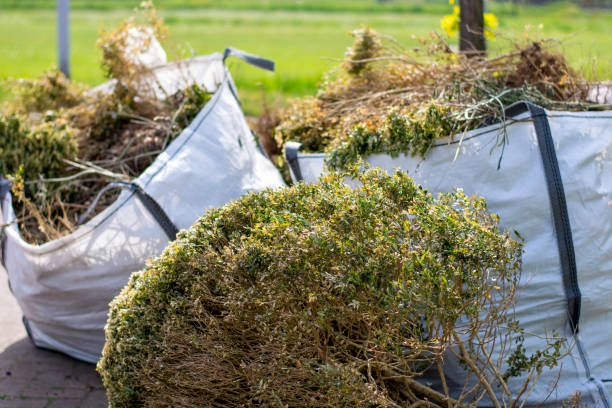 Full-Service Junk Removal in Dorneyville, PA